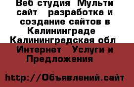 Веб-студия «Мульти-сайт»: разработка и создание сайтов в Калининграде - Калининградская обл. Интернет » Услуги и Предложения   